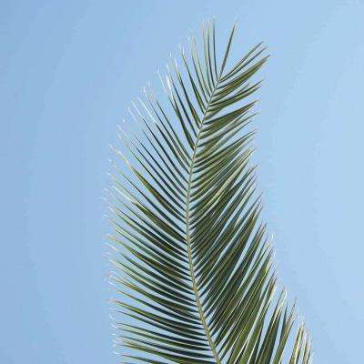 爱游戏全站下载手机版