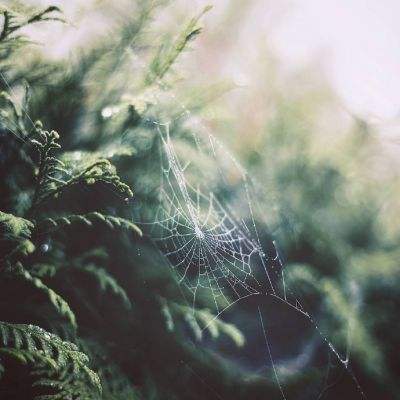 大众彩票app最新版下载